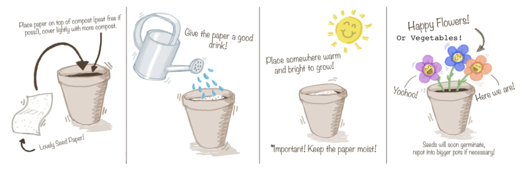 Anleitung Samenpapier pflanzen