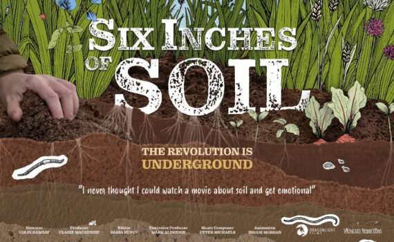 Six Inches of Soil